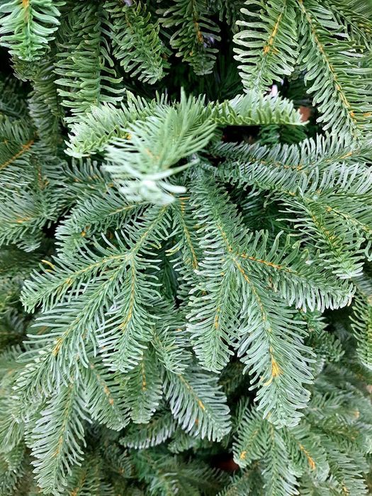 Новогодние Ёлка Виктория Скидка