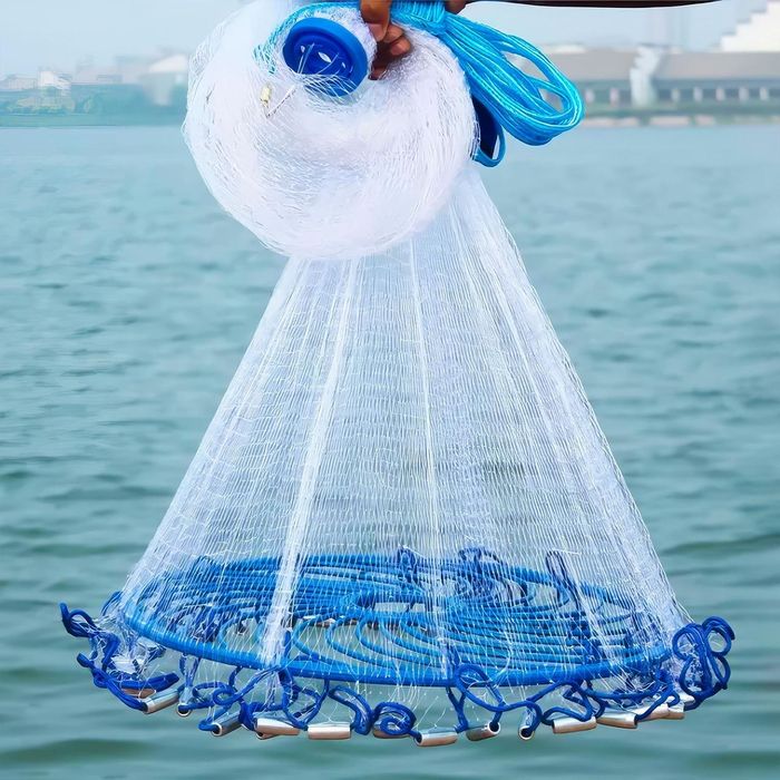 Net. Тор. Сетка.
