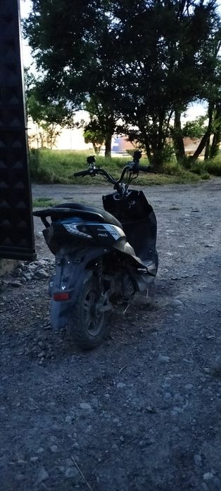 Pedo Gts sport italia