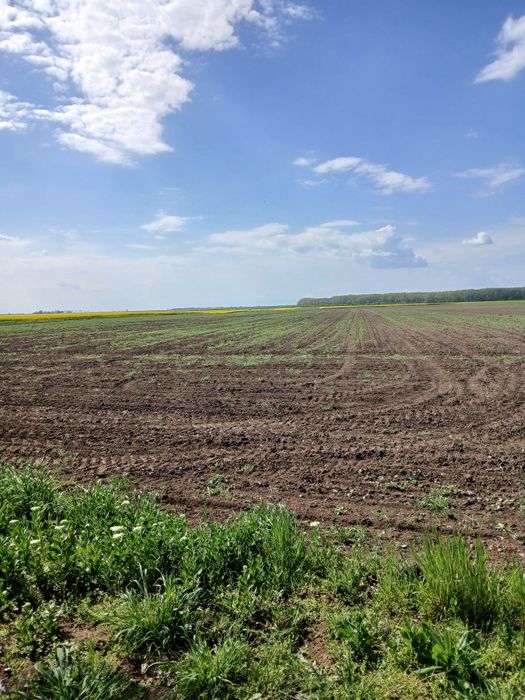 Pământ umplutură 1,5-20 ha