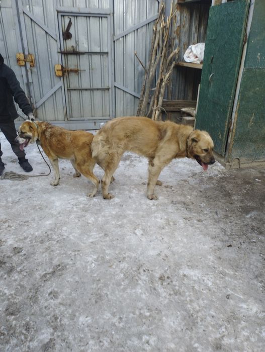 Открыт для вязок.