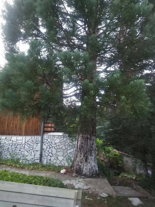 Продавам вила гр. Своге, кв. Дренов