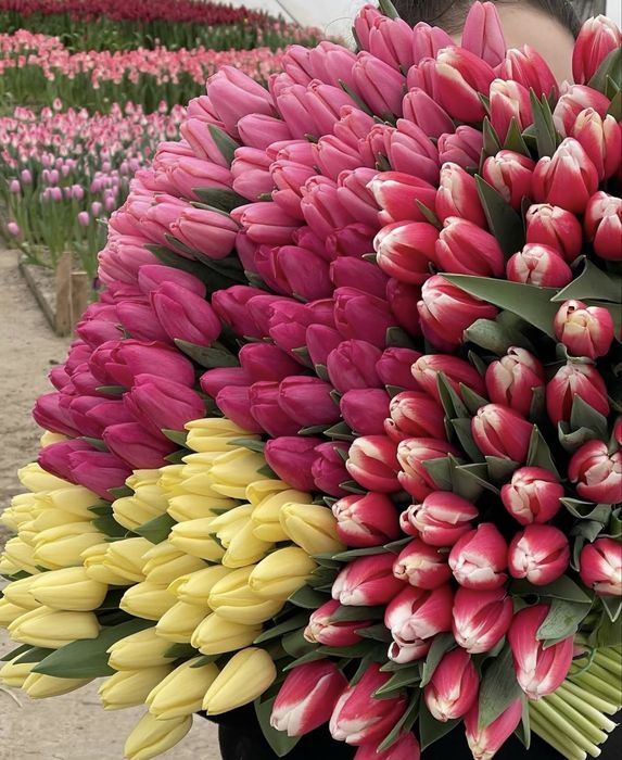 Корпоратив тюльпаны Алматы 600 тг
