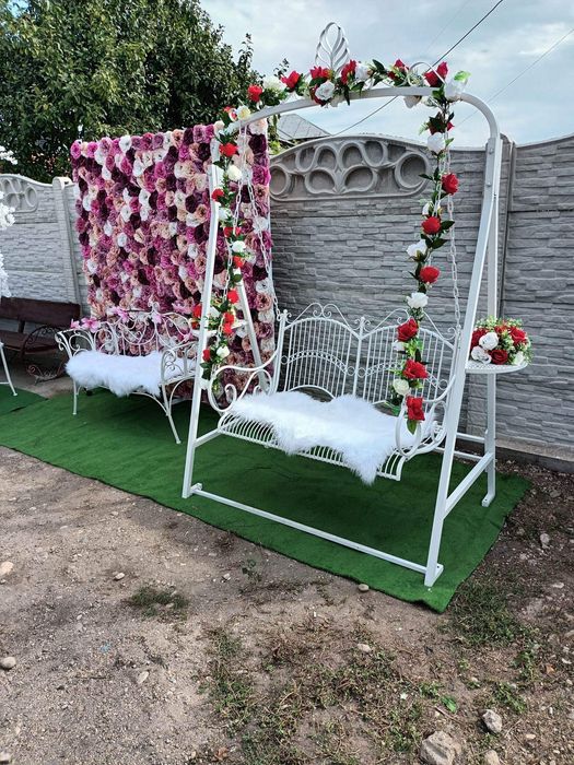 Events for you Caracal