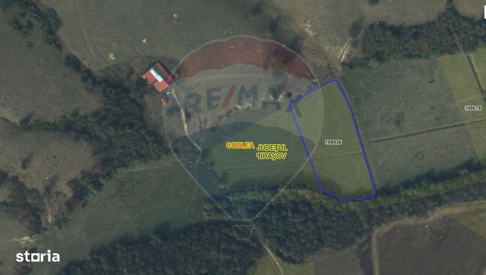 Teren 10,000mp Codlea / DN 1