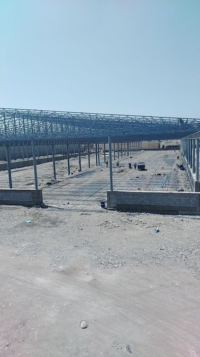 Навес ва Том куриш хизмати