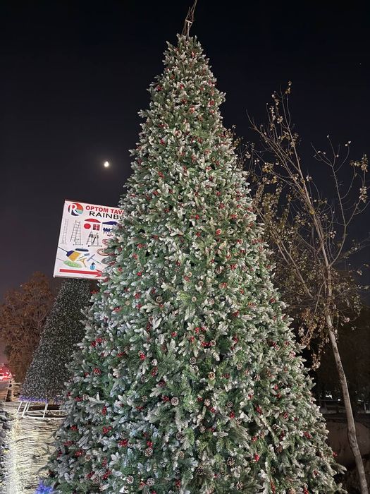 Archa 5-metr yangi 2025