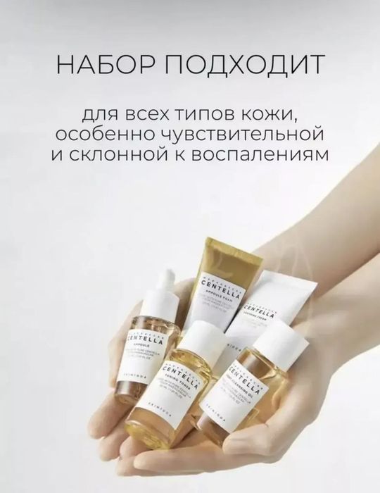 Centella Madagaskar mini nabori