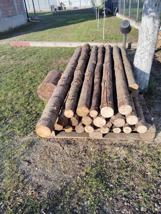Popi pentru placă