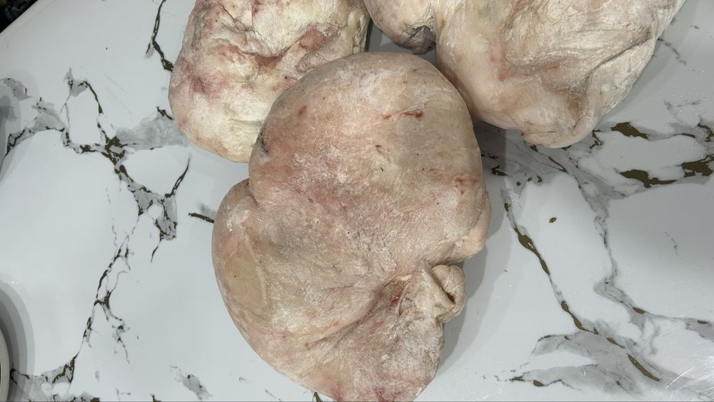 Продам курдюк свежий