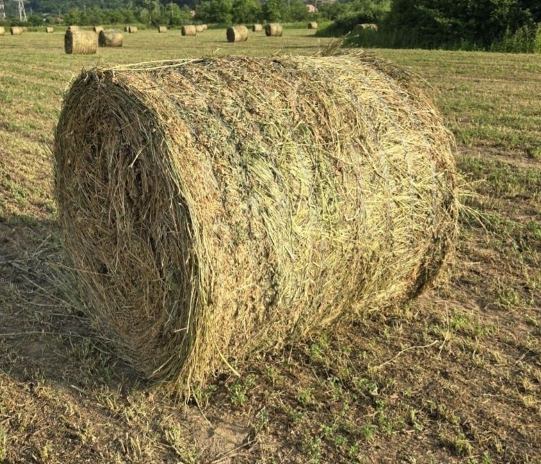 Vând baloți lucernă