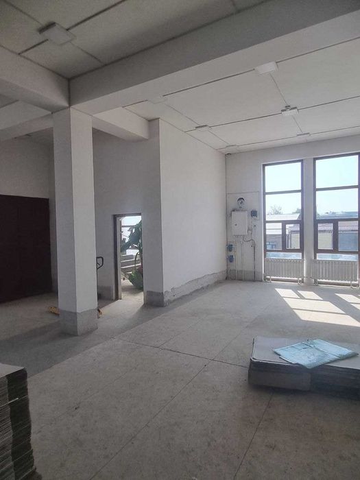 Bino (ko'chmas mulk)