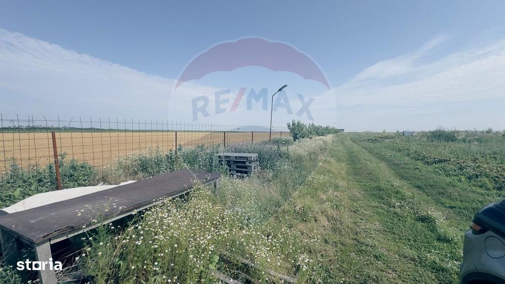 Teren agricol 16.750mp în Cârcea, imprejmuit, cultura capsuni, solarii