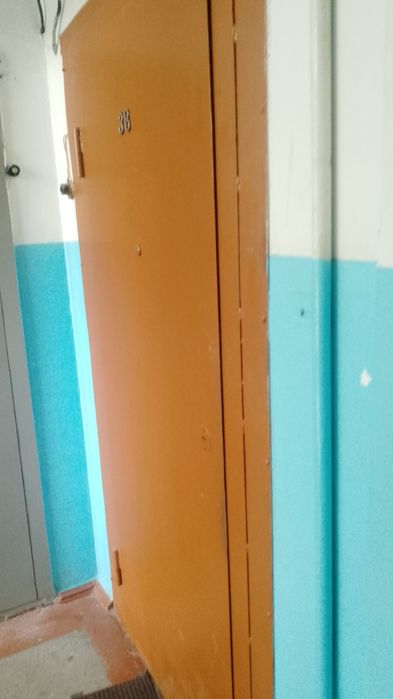 Железная входная дверь