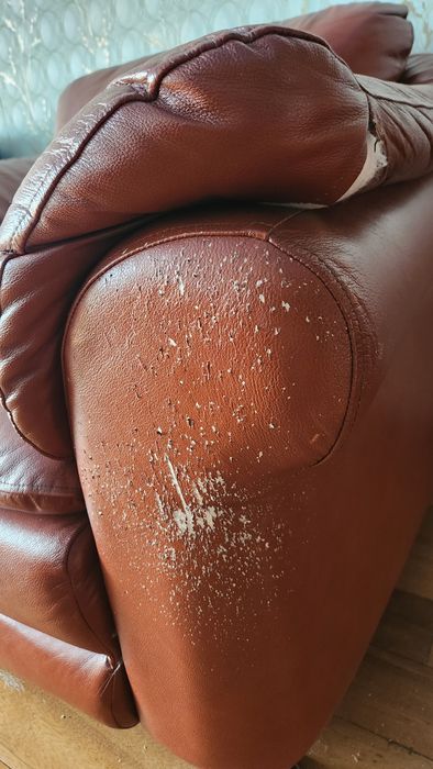 кресло кожаное,торг