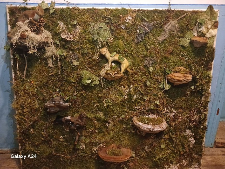 Tablouri de vânzare