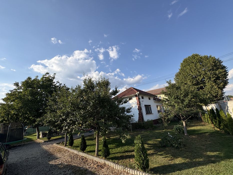 Casa de vanzare vintu de jos