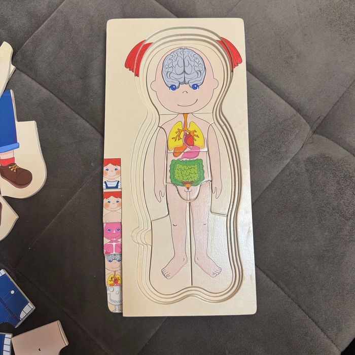 Puzzle din lemn, Corpul Uman 4 x 7 piese