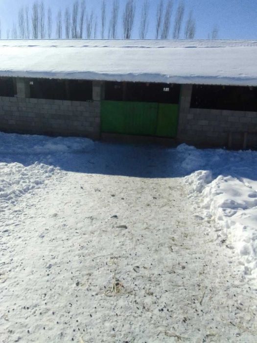 Продается земельный участок( база) в курортном районе. Бостанлык