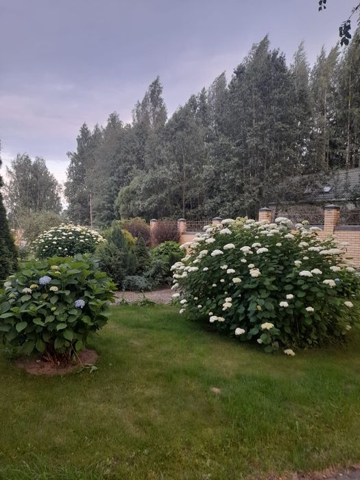 Садовник (ца) с опытом