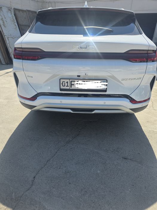 BYD - Чемпион гибрид 2025