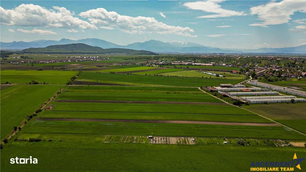FILM! Teren extravilan 5.000 mp in zona linistita cu acces facil, Bod,