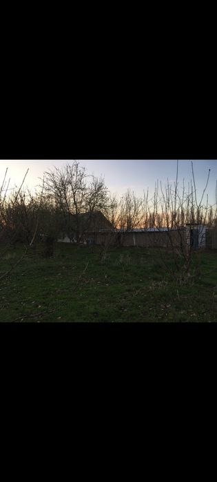 Продаётся дом, яблоневый сад, фазенда!!