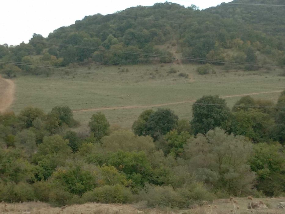 Продава се Земеделски имот в с. Змейово, Област Стара Загора -  кв.м за 5236 €/дка - Снимка #2