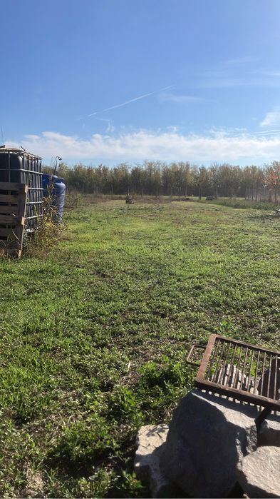 Teren 6.150 mp intravilan Gradistea, Ilfov