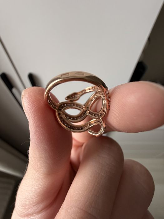 Золотое кольцо змея