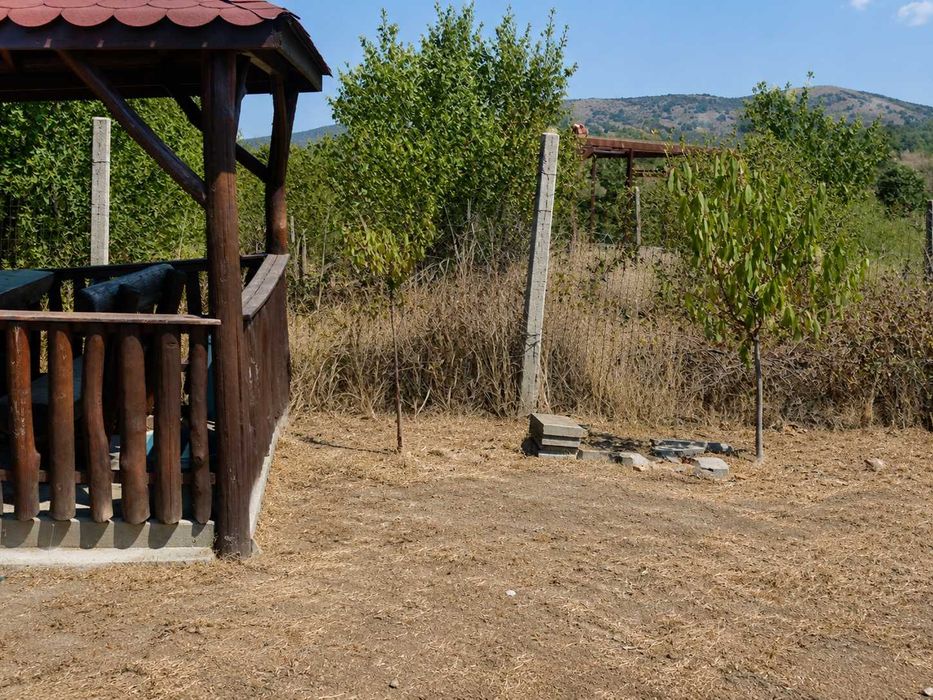 TEREN DE VÂNZARE – LIVADA DIN PALEU, în apropiere de Dealul Viilor