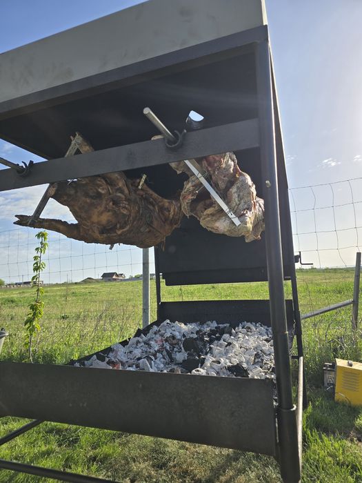 Rotisor cu 2 pozitii motor 12 v