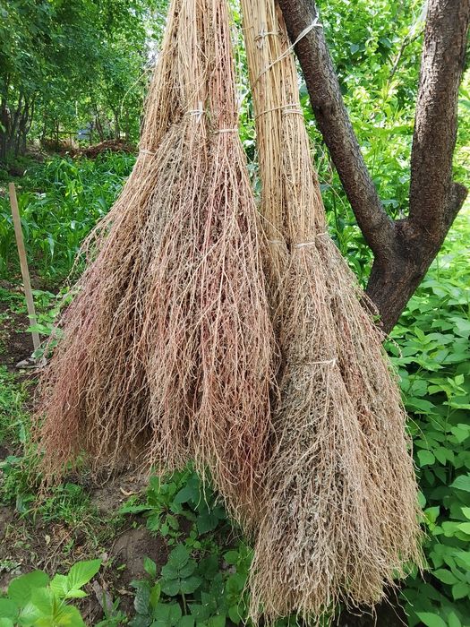 Срочно продам дворовые веники