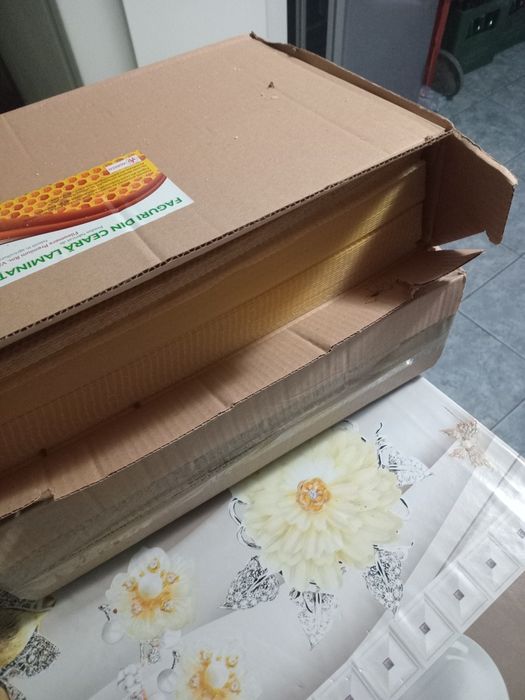 Rame si faguri de albine