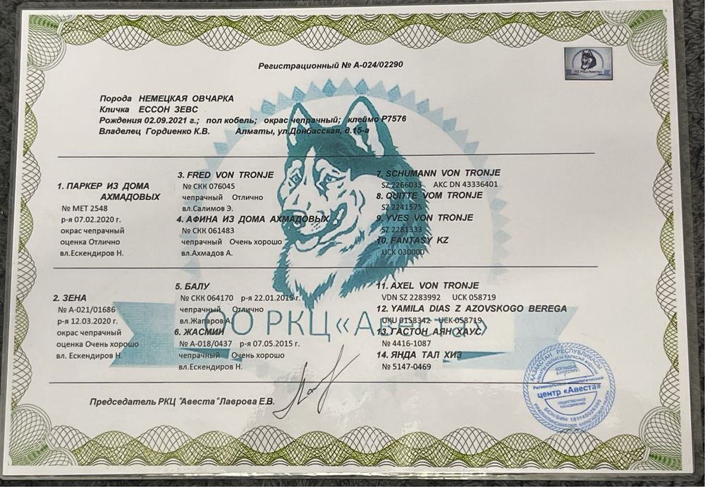 Немецкая овчарка Для Вязки