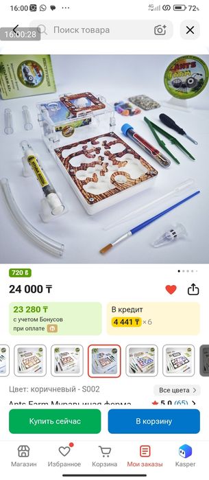 Муравьиная ферма