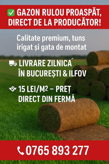 GAZON RULOU prețul competitiv