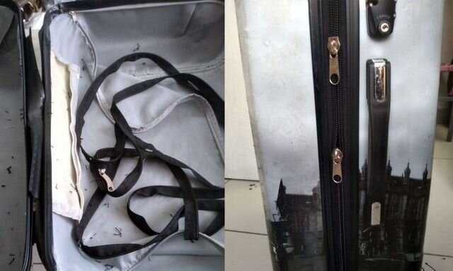 Замена молнии на чемоданах