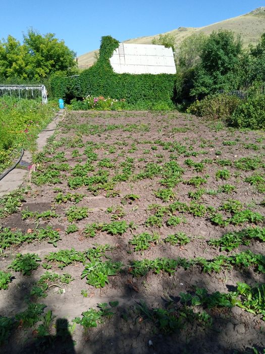 Продам дачу в обществе СПП, 9 соток