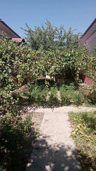 Dacha ijaraga beriladi. Arzonga