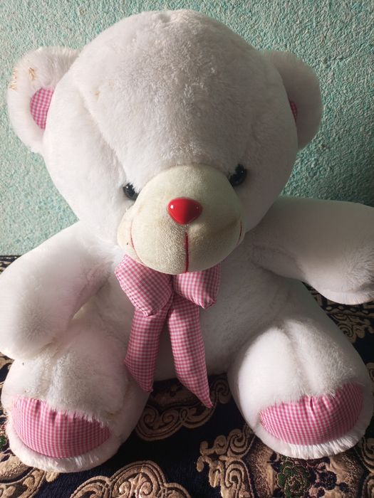 Yumshoq Ayiqcha sovgʼaga mos keladi