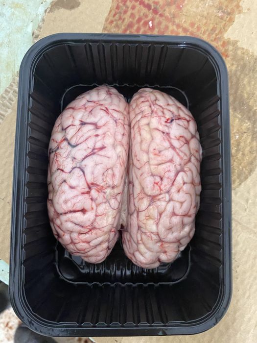 Мозги продается.