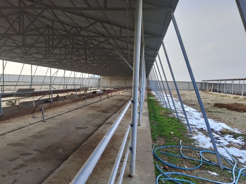 Навоий вилояти Кизилтепа туман марказида жойлашган чорвачилик комплекс