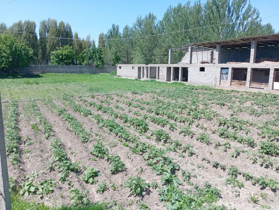 Srochni 24 sotux 2 xonali xamma sharoyitlar bor xovli sotlad