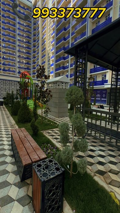 Живой газон биринчи қўл