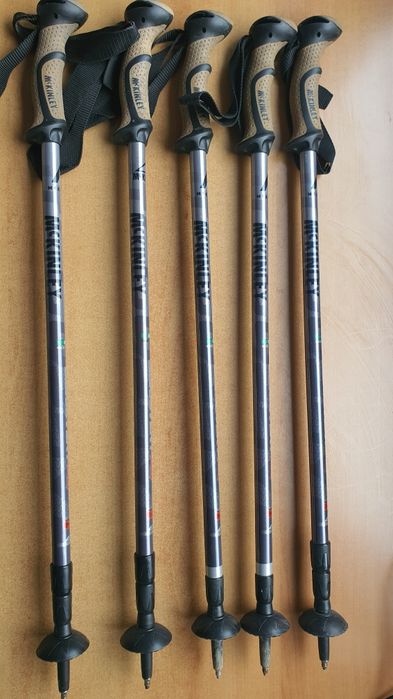 Туристически щеки Mckinley