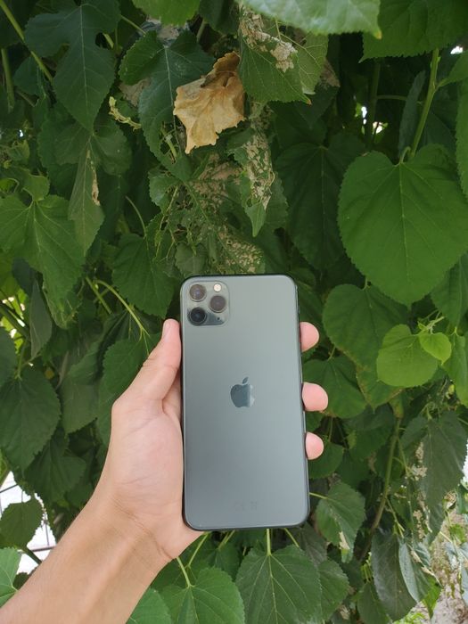Iphone 11 pro max+galofka org