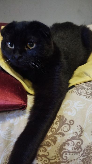 Мальчик ждет свою семью!