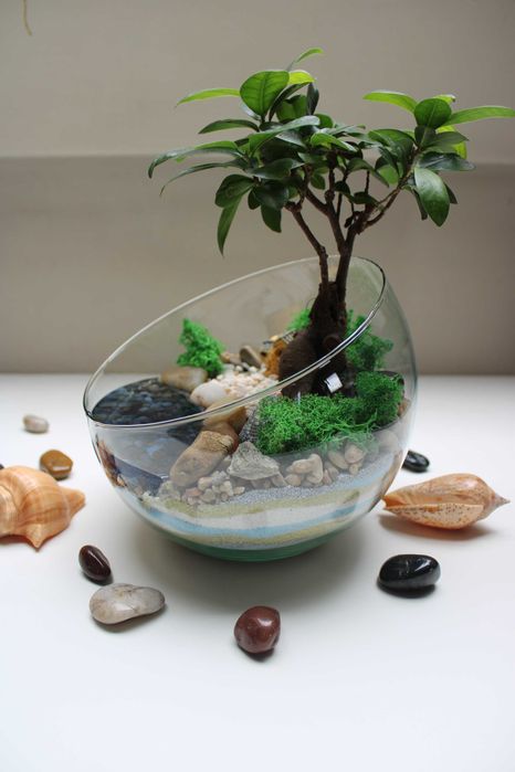 Флорариум с бонсай - подарък за рожден ден и др поводи