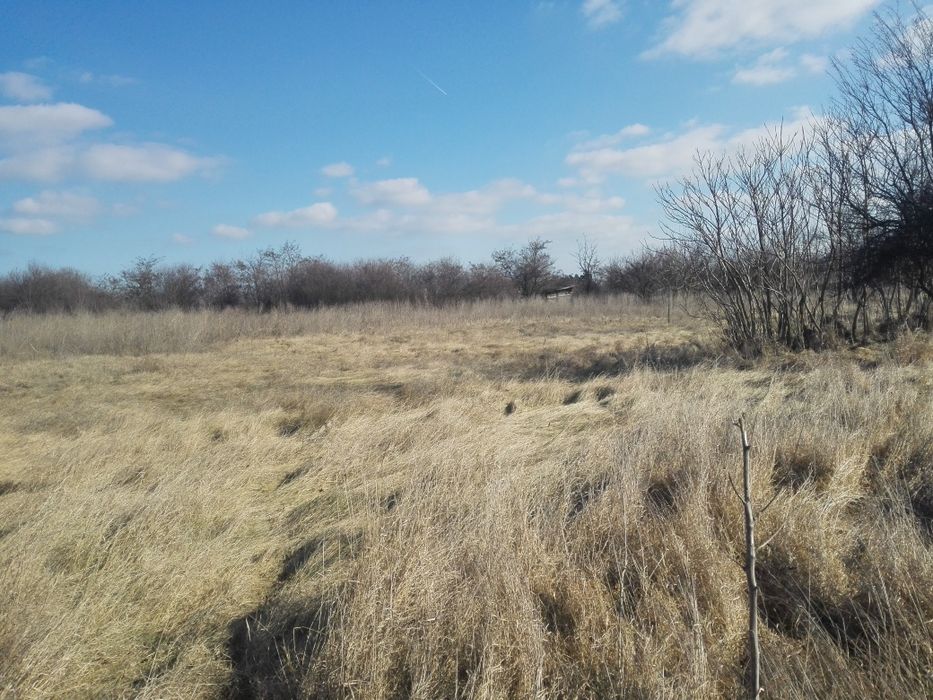 Парцел в регулация